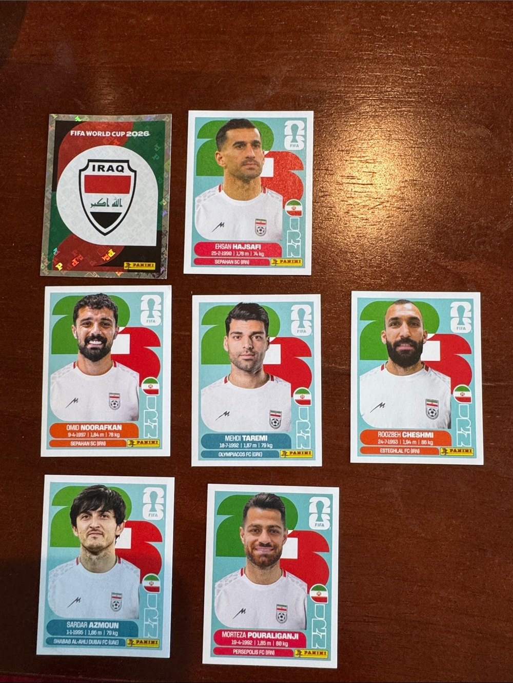 Panini White & Green International Team Sticker Collection
